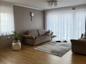 Wohnzimmer (3)